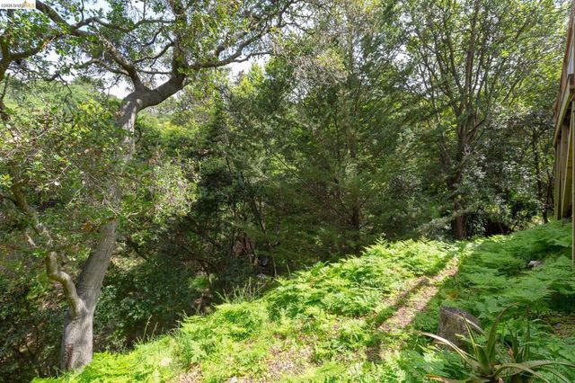 454 Vincente Ave, Berkeley, CA 94707