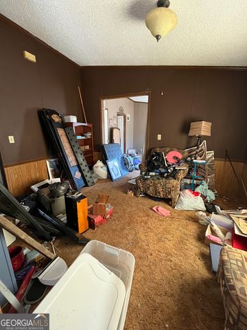 6326 Riggins Mill Road, Dry Branch, GA 31020