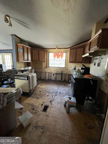 6326 Riggins Mill Road, Dry Branch, GA 31020