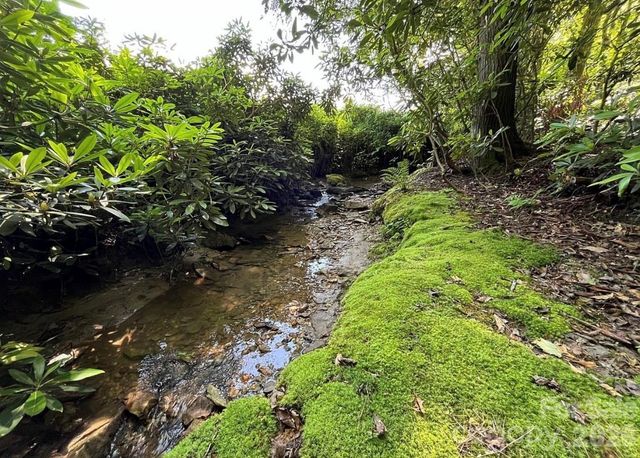 3434 Old Jonas Ridge Road, Newland, NC 28657