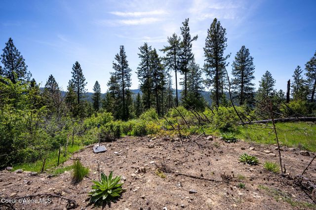 L11 B3 Hanson Rd, Harrison, ID 83833