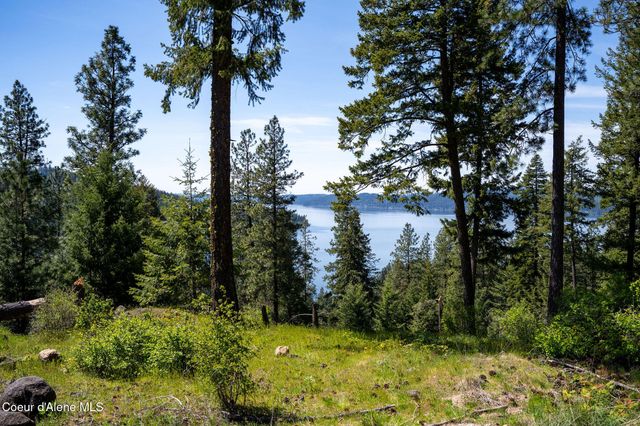 L11 B3 Hanson Rd, Harrison, ID 83833