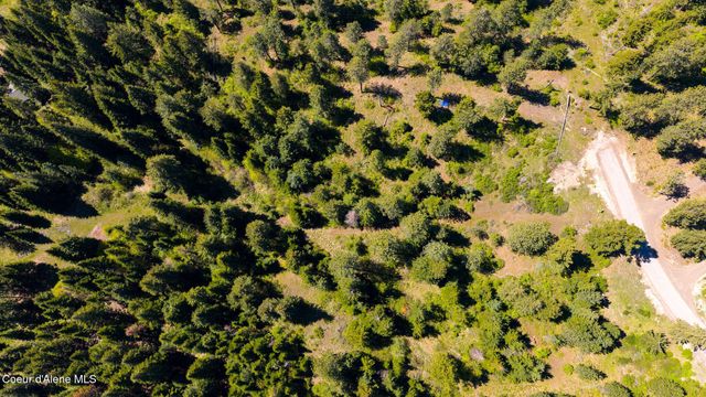 L11 B3 Hanson Rd, Harrison, ID 83833
