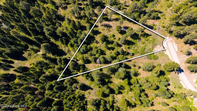 L11 B3 Hanson Rd, Harrison, ID 83833