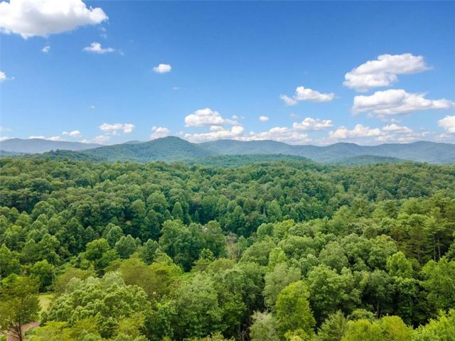 1172 Settlers Ridge Road, Ellijay, GA 30540