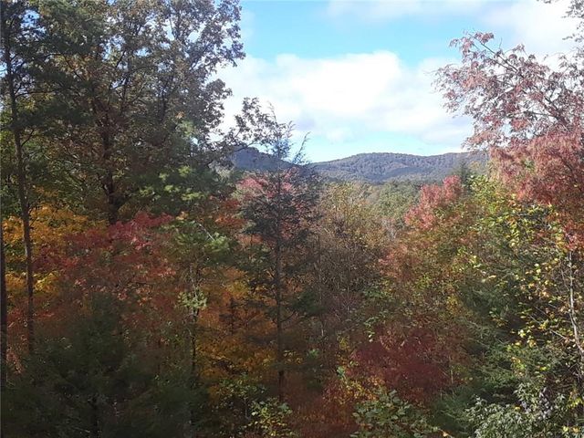 1172 Settlers Ridge Road, Ellijay, GA 30540
