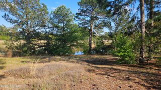1 Old Tom Morris Road, Garland, NC 28441