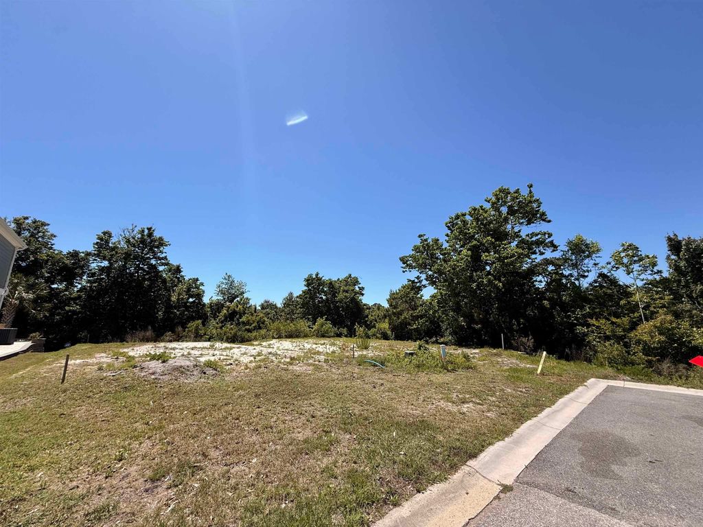 445 & 501 7th Ave. S, North Myrtle Beach, SC 29582