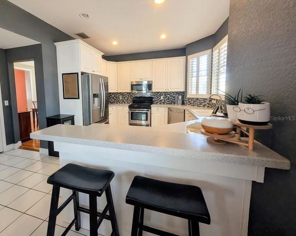 2919 BAYSHORE VISTA DRIVE, Tampa, FL 33611