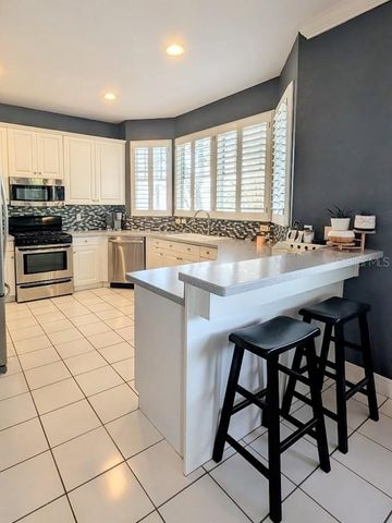 2919 BAYSHORE VISTA DRIVE, Tampa, FL 33611