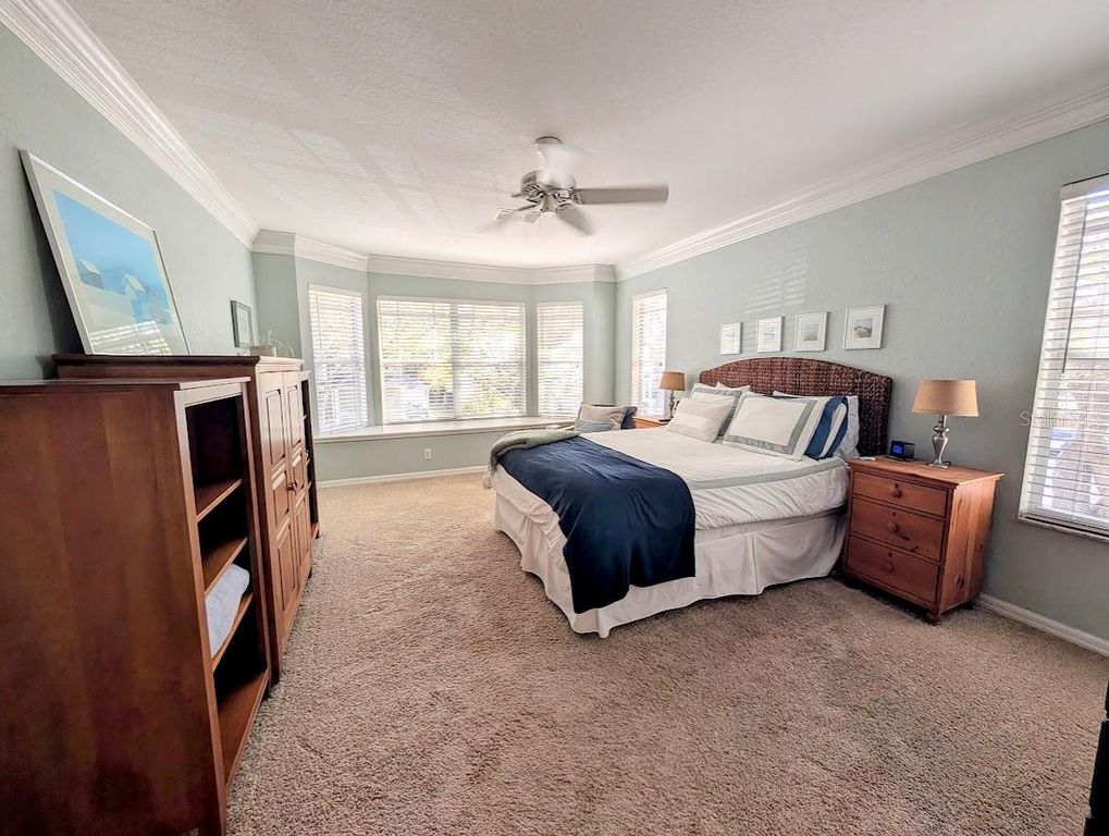 Image 19 of property listing at 2919 BAYSHORE VISTA DRIVE, Tampa, FL 33611