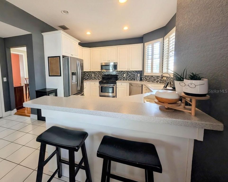 Image 9 of property listing at 2919 BAYSHORE VISTA DRIVE, Tampa, FL 33611