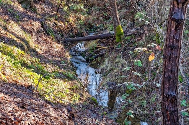 51354 Dorstan Drive, Oakhurst, CA 93644