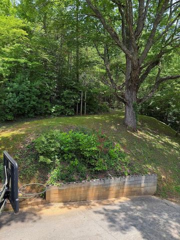 119 Ashlan Trail, Hayesville, NC 28904
