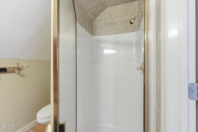 201 Clear Point Lane, Pigeon Forge, TN 37863