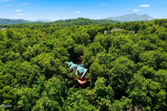 201 Clear Point Lane, Pigeon Forge, TN 37863