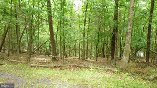 LOT 179 STUART DR, Basye, VA 22810