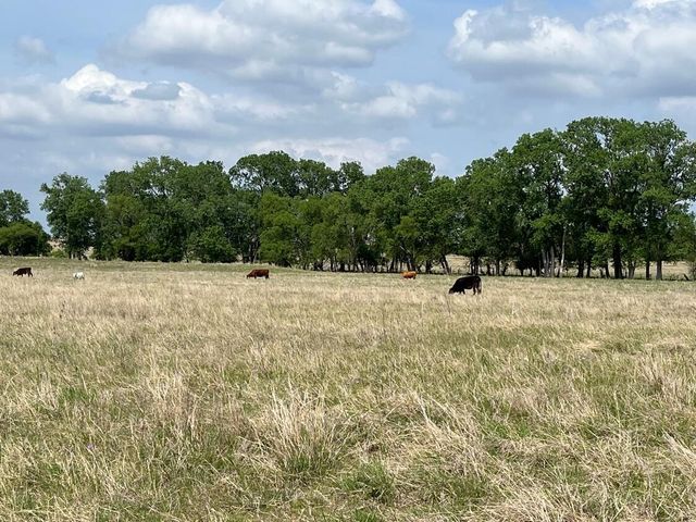 000 County Rd 269, Oglesby, TX 76561