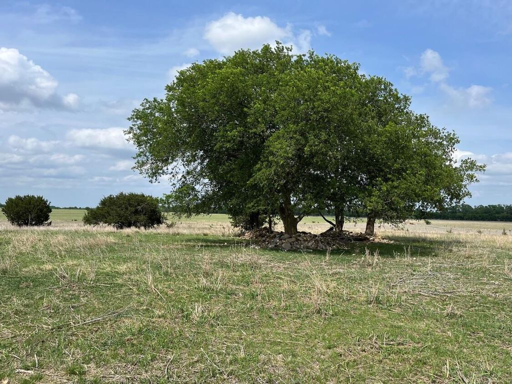 000 County Rd 269, Oglesby, TX 76561