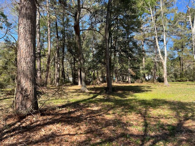 13527 Mccomb Road, Conroe, TX 77302