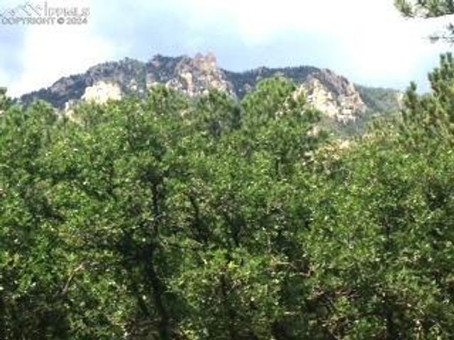 667 Silver Oak Grove, Colorado Springs, CO 80906