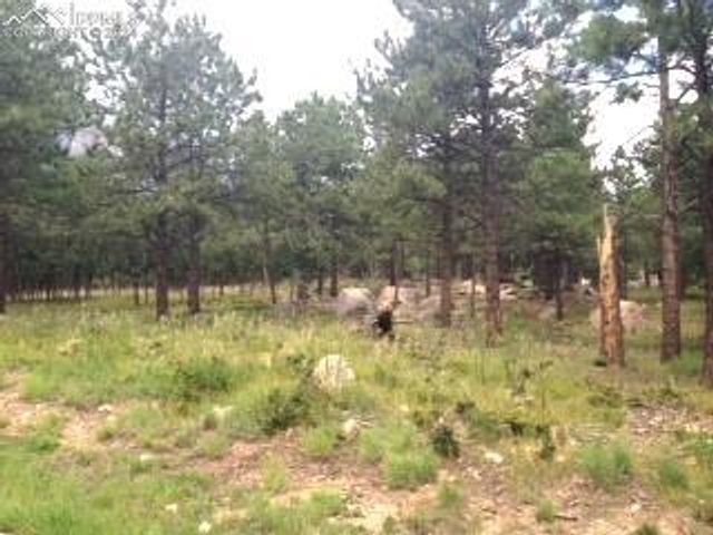 667 Silver Oak Grove, Colorado Springs, CO 80906