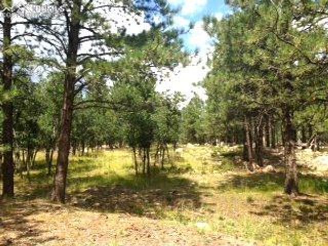 667 Silver Oak Grove, Colorado Springs, CO 80906