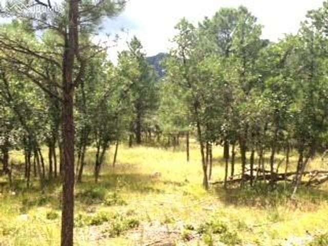 667 Silver Oak Grove, Colorado Springs, CO 80906