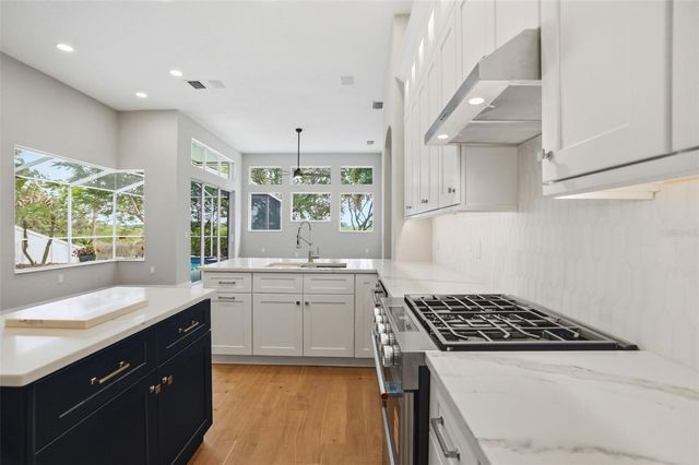 1725 RIVER WATCH BOULEVARD, Tarpon Springs, FL 34689