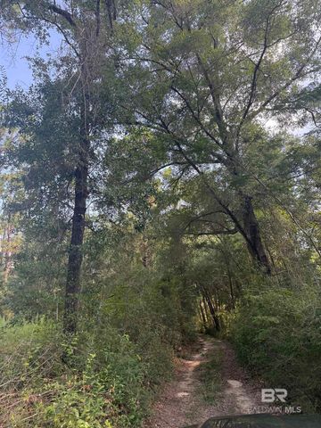 0 Browns Landing Road, Seminole, AL 36574