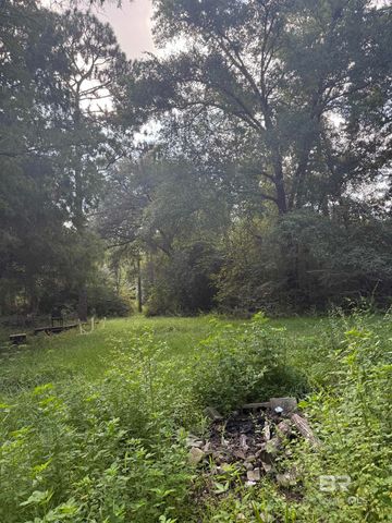 0 Browns Landing Road, Seminole, AL 36574
