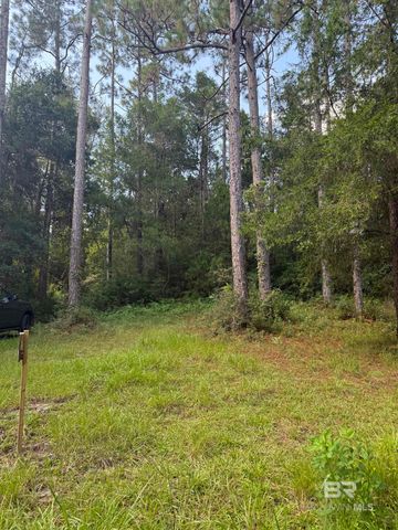 0 Browns Landing Road, Seminole, AL 36574
