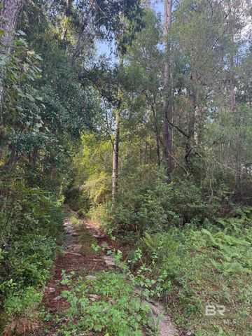 0 Browns Landing Road, Seminole, AL 36574