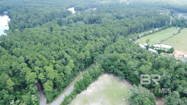 0 Browns Landing Road, Seminole, AL 36574