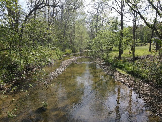 2748 Damron Creek Road, Russell Springs, KY 42642