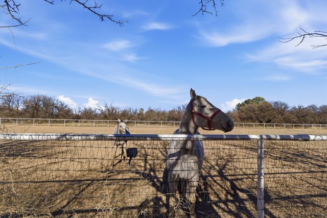 1 Cielo Dorado Drive, Anthony, NM 88021