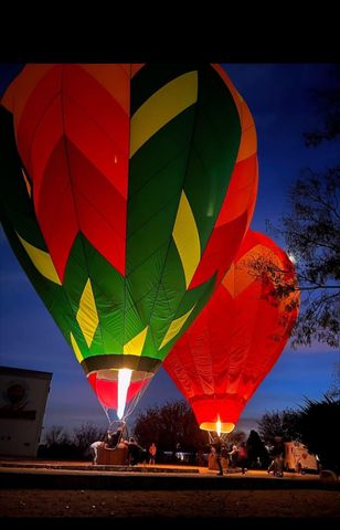 1 Cielo Dorado Drive, Anthony, NM 88021