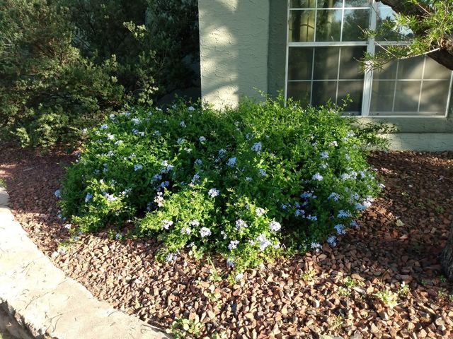 1 Cielo Dorado Drive, Anthony, NM 88021