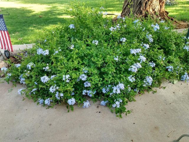 1 Cielo Dorado Drive, Anthony, NM 88021