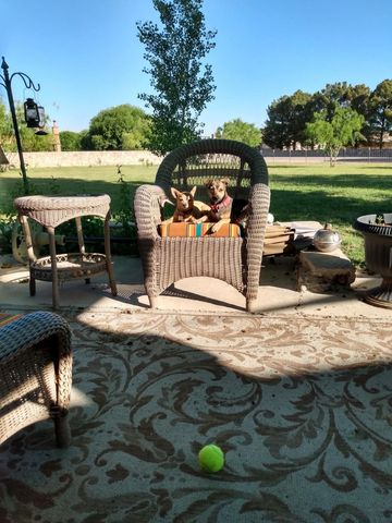 1 Cielo Dorado Drive, Anthony, NM 88021