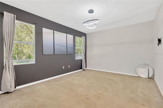 19246 MEADOW PINE DRIVE, Tampa, FL 33647