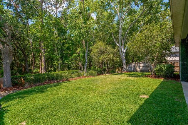 19246 MEADOW PINE DRIVE, Tampa, FL 33647
