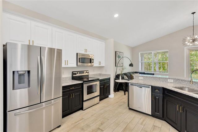 19246 MEADOW PINE DRIVE, Tampa, FL 33647