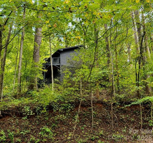 721 Bear Creek Lane, Saluda, NC 28773