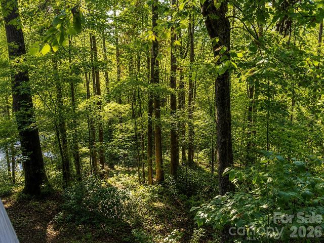 721 Bear Creek Lane, Saluda, NC 28773