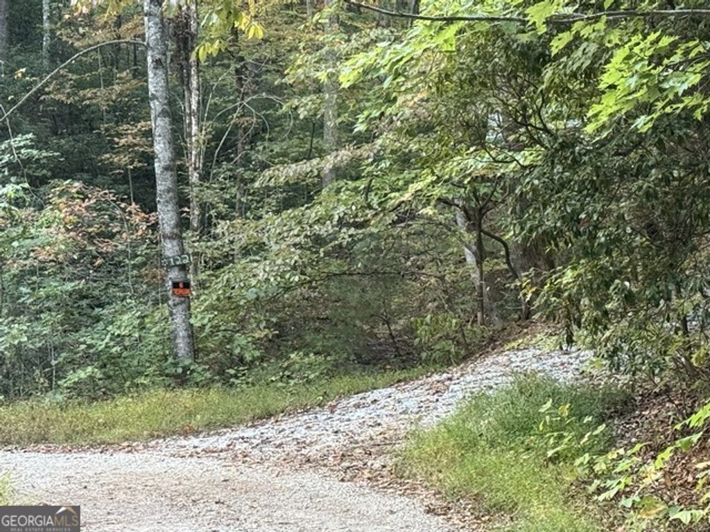 0 Wood Sorrel Lane LOT 727/726, Clayton, GA 30525 — photo 2