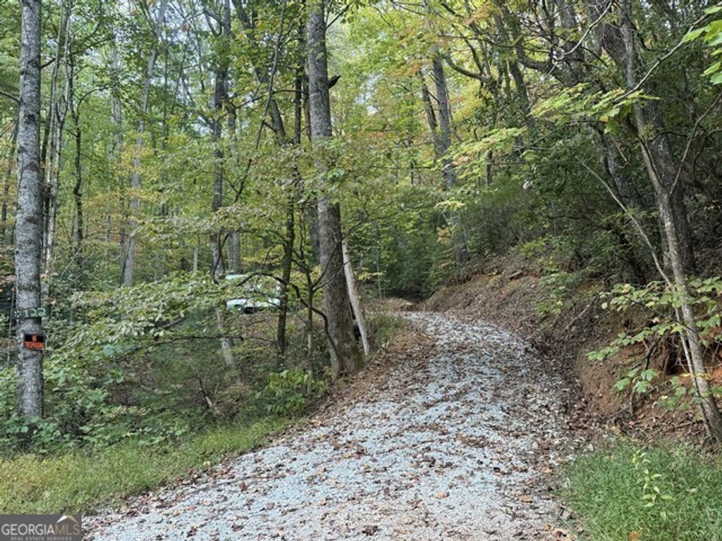 0 Wood Sorrel Lane LOT 727/726, Clayton, GA 30525 — photo 3
