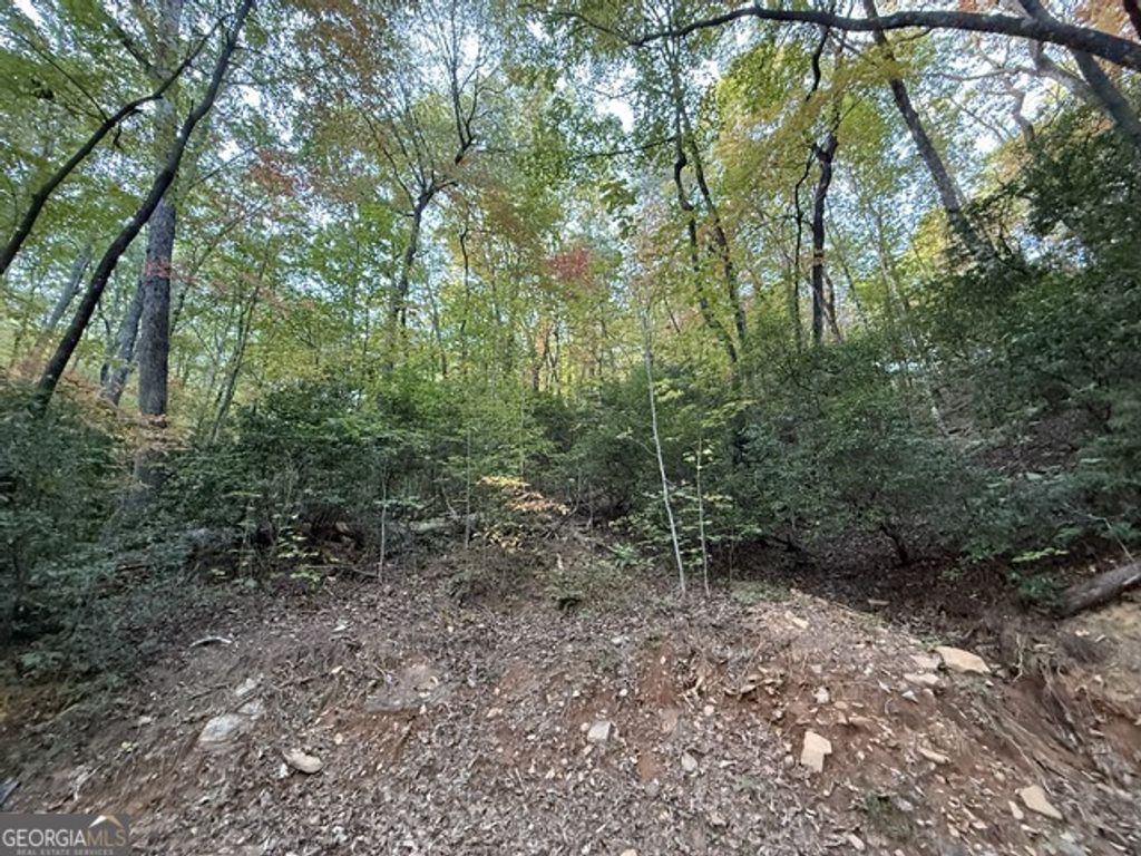 0 Wood Sorrel Lane LOT 727/726, Clayton, GA 30525 — photo 4