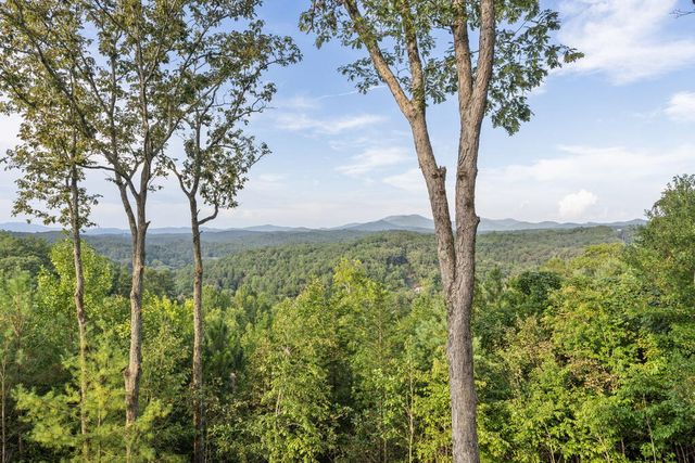 13 Hope Drive, Blue Ridge, GA 30513