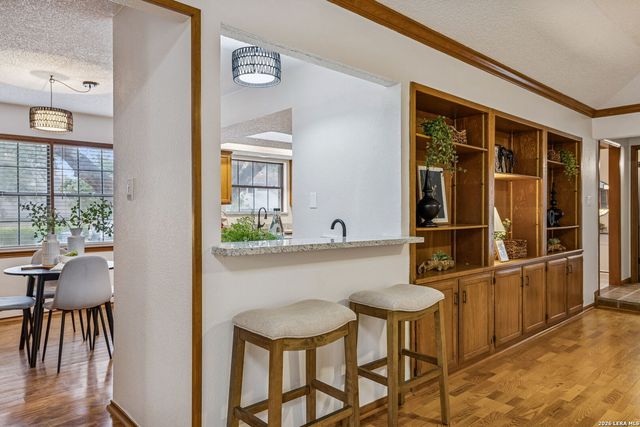 17123 Turkey Point, San Antonio, TX 78232